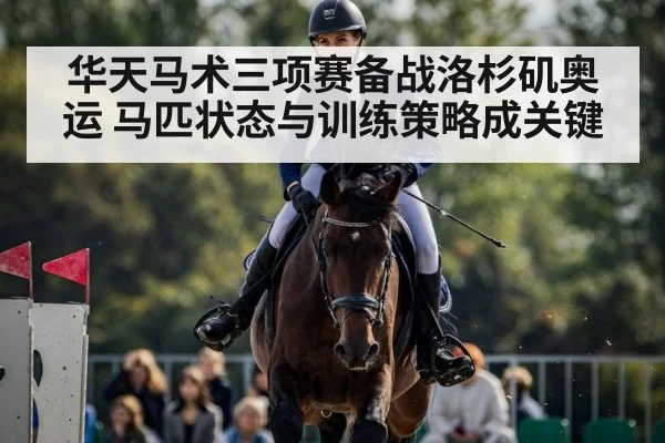 华天马术三项赛备战洛杉矶奥运 马匹状态与训练策略成关键
