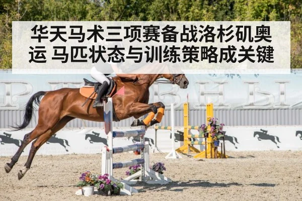 show jumping competition