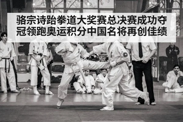 骆宗诗跆拳道大奖赛总决赛成功夺冠领跑奥运积分中国名将再创佳绩