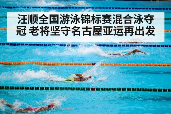 汪顺全国游泳锦标赛混合泳夺冠 老将坚守名古屋亚运再出发